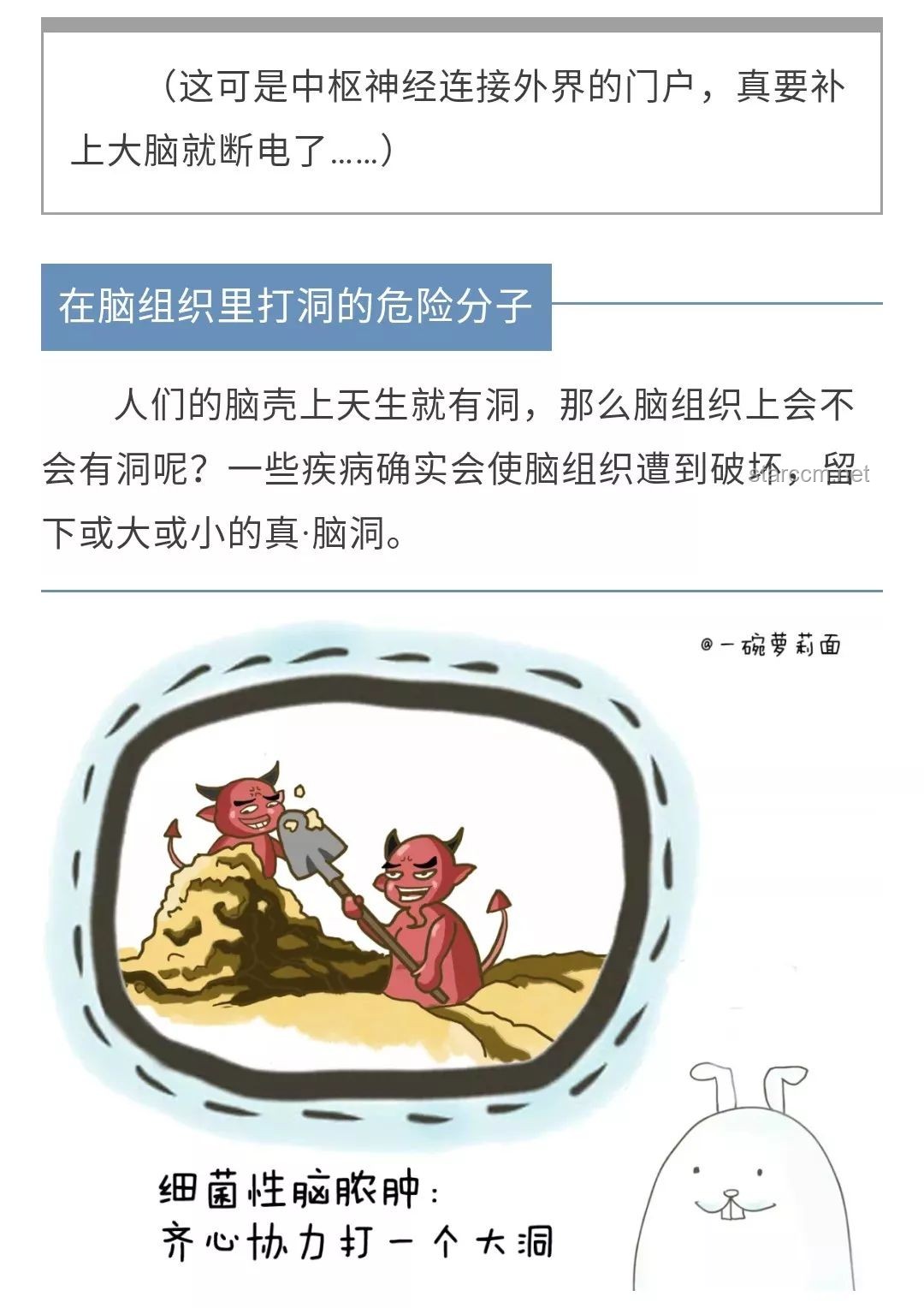 **【毕导脑洞大开】从肛门呼吸到创新思维的奇妙之旅🚀**